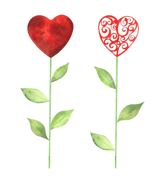 Illustration with heart flowers painted in watercolor isolated