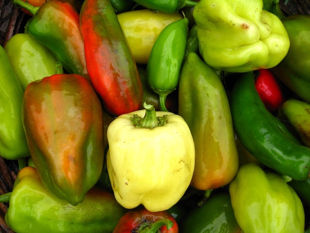 Image of Arop of multicolour Bulgarian pepper