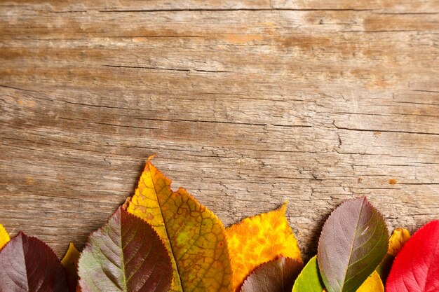 Image of autumn leaves over wooden textured background