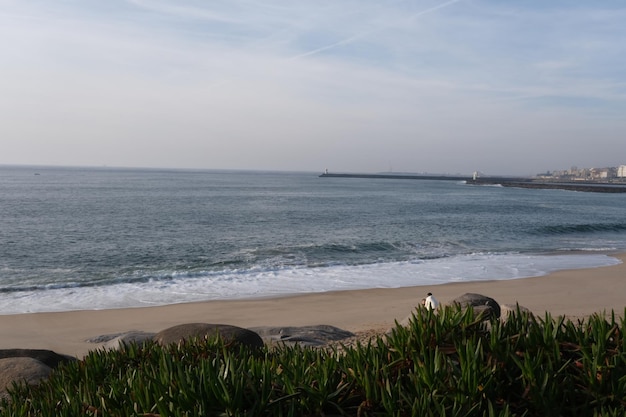 An image of a beach with a view from the top of it