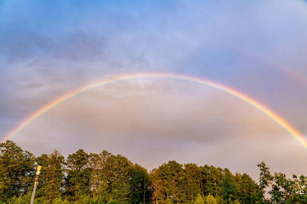 Immagine di un bellissimo arcobaleno sopra gli alberi, doppio arcobaleno.