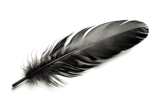 Image of black feather on white background Illustration Generative AI