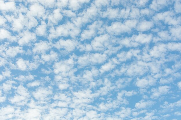 白い雲と青い空の画像