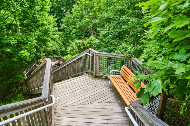 Image of Boardwalk staircase with resting benches and bright green trees