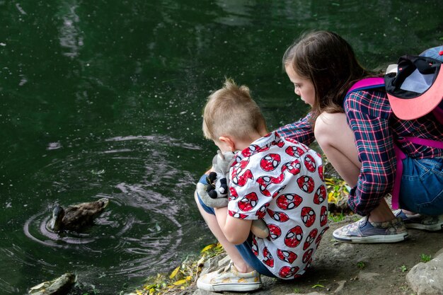 Image of Children loock at a wild drake and a duck sail on a pond Teaching a child through play