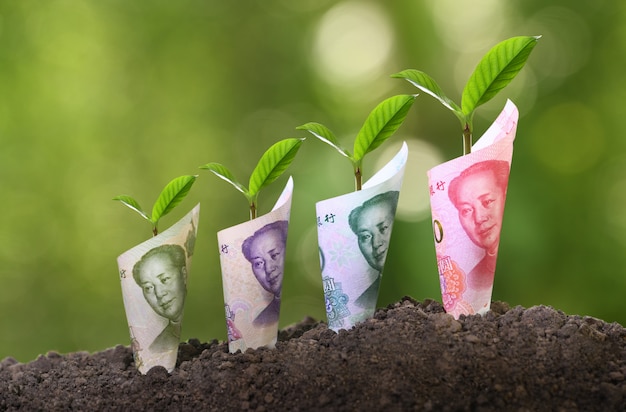 Image of China Yuan banknote with plant growing on top for business, saving, growth, economic concept