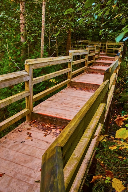 Image of Deep wooden steps and fencing make up a forest trail or path