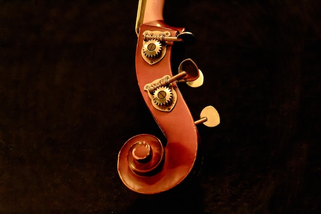 Photo image of a double bass head from a decorative scroll and a peg box with pegs