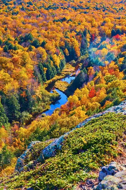 Image of Fall forest has blue river snaking through it and a mossy rock overlooking it