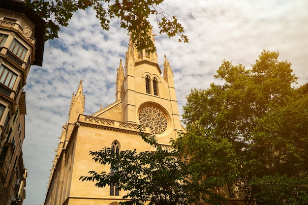 Image of famous cathedral la seu in palma de mallorca spain