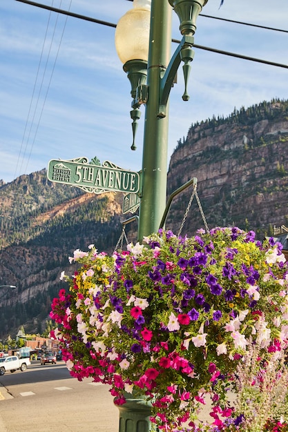 Image of Flowers hanging in planter from light post with road signs and mountains in background