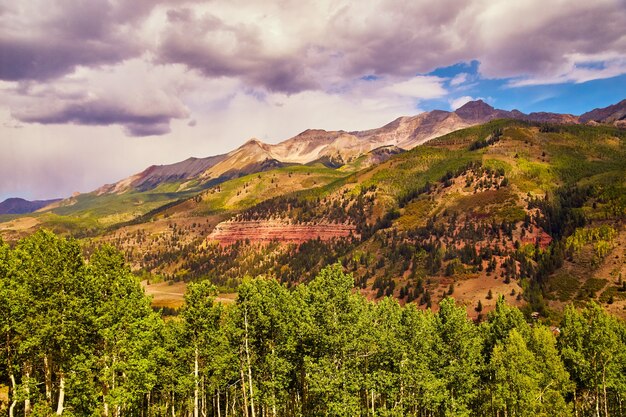 Photo image of forest of aspen trees with large mountain range in background and gloomy clouds