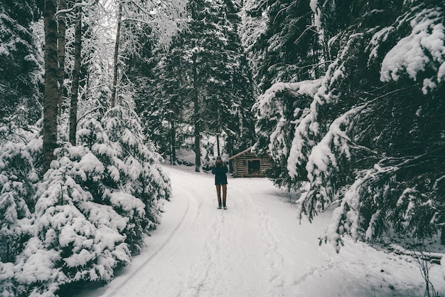 Foto immagine da lontano del turista uomo che cammina nella foresta invernale