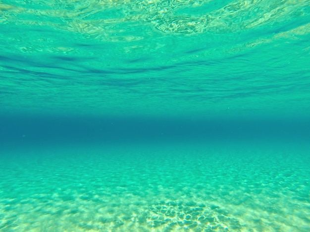 Image from under the water sea with crystal clear and transparent water