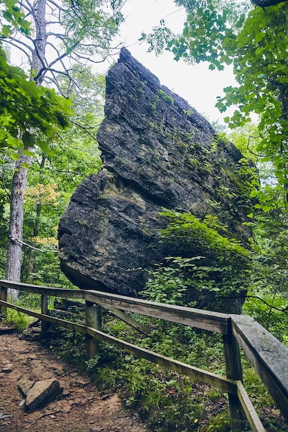 Image of Gigantic boulder in forest next to trail with wood fencing