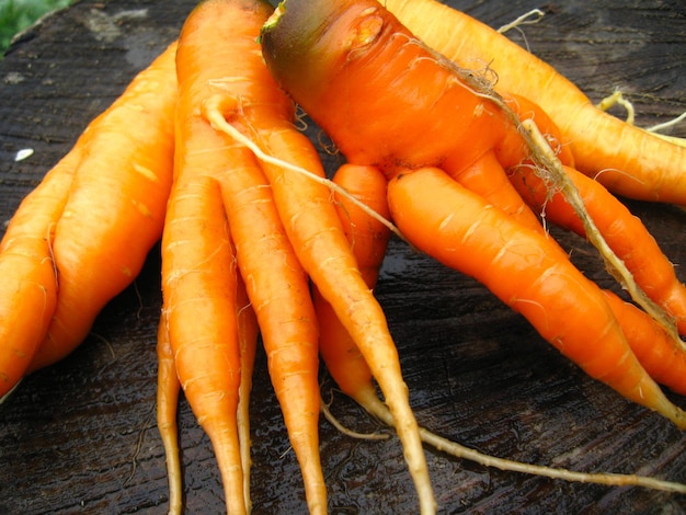Изображение руки с кучей моркови