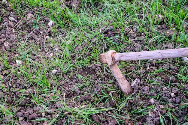 Image of hoe in field to cultivate with grass and fertile soil