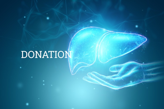 Image of a hologram of an outstretched hand and liver. Human hepatitis treatment business concept, donation, disease prevention, online diagnosis. 3D rendering, 3D illustration.