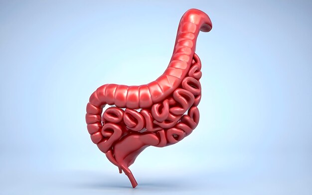 Photo an image of intestines on isolated background ai generated