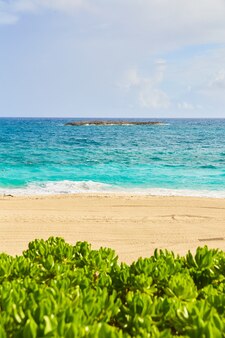 Immagine dell'isola nei caraibi con strati di acqua blu, sabbia bianca e arbusti verdi in primo piano