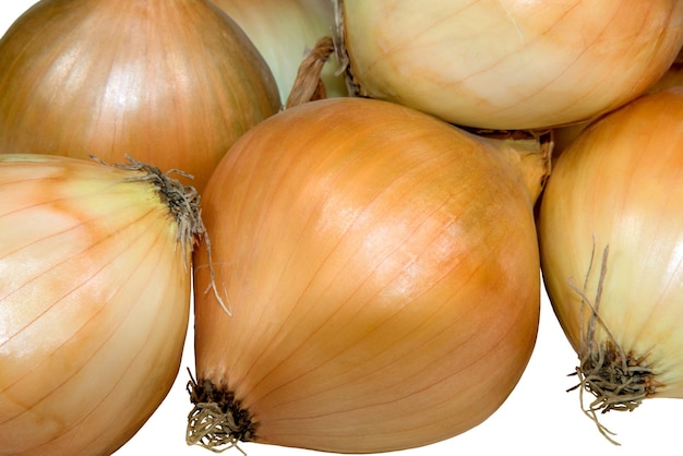 image isolated on white
  vegetable onion background