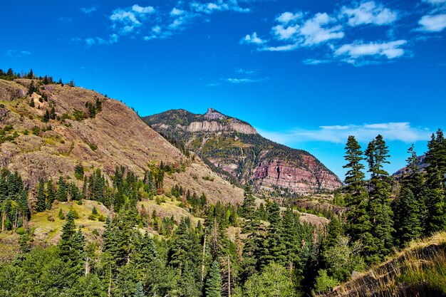 Foto immagine del paesaggio in montagna con alberi di pino e cielo blu