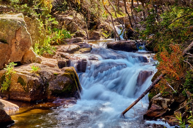 苔むした岩を通る滝の風景の画像