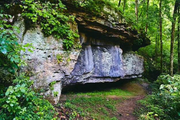 녹음이 우거진 숲이 있는 공원 산책로의 대형 암석 이미지