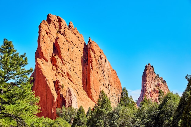 Foto immagine di grandi fogli di colture di punte di roccia rossa nella foresta