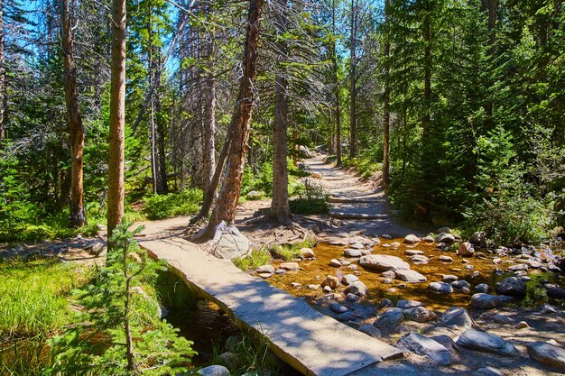 Image of Log cut in half as bridge across river in forest park