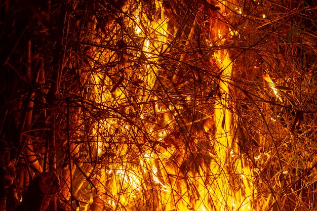 Изображение бревен в горящем огне. Пламя горящего огня.