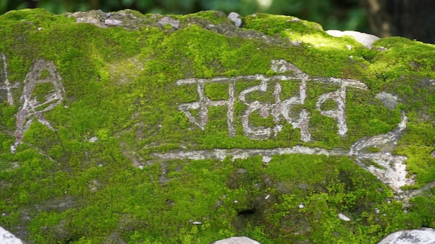 Immagine di mahadev scritta su pietra verde