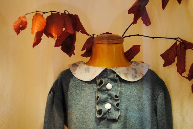 Photo image of mannequin with ideas for autumnal girl's dress and dry leaves in background