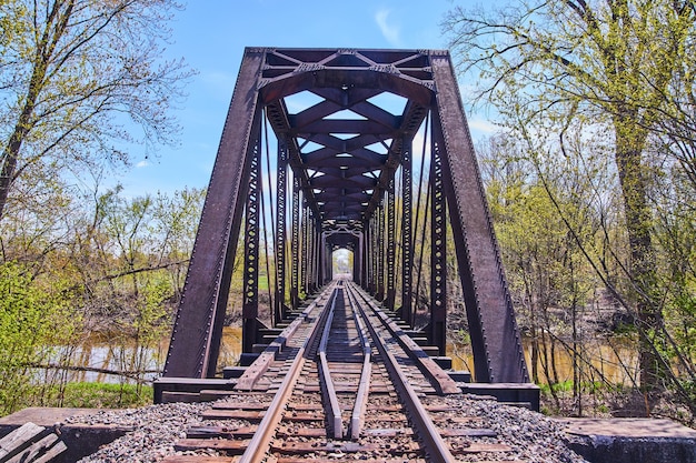 Image of Metal train track bridge over river in forest