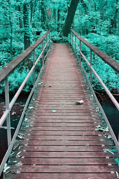 Image of Mystical walkway through a vibrant forest shot in infrared