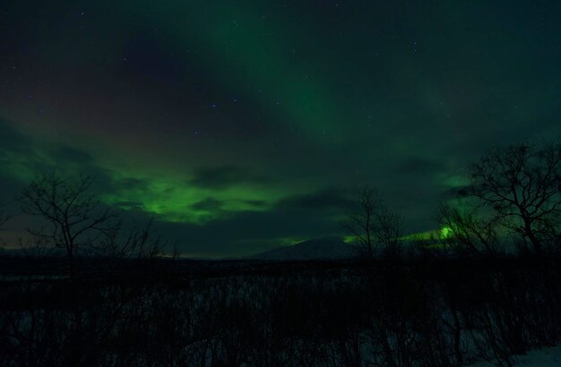 Foto immagine dell'aurora boreale ad abisko in svezia