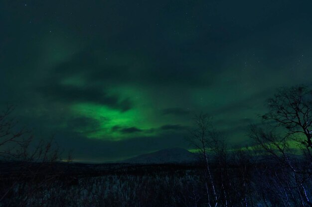 Foto immagine dell'aurora boreale ad abisko in svezia