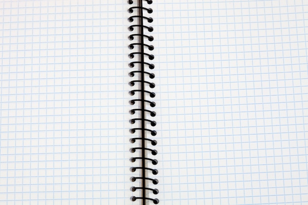 Image of a notebook in blank with leaves grid