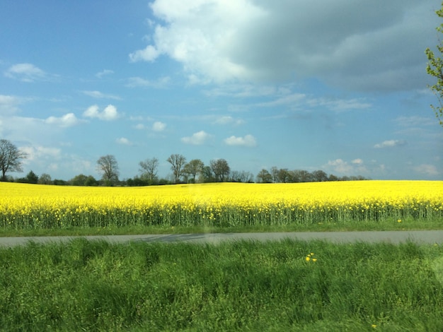 Фото Изображение красивого пейзажа