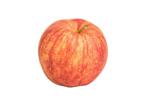 image of one red-yellow ripe apple with a tail on a white background