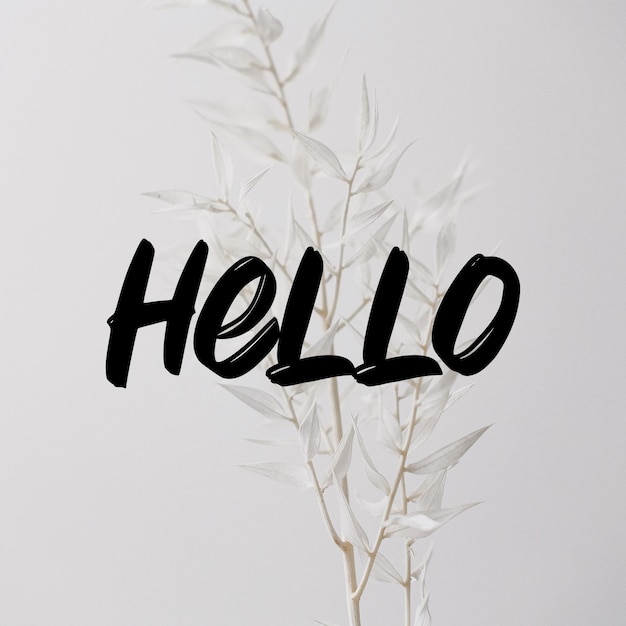 이미지 사진 hello 라고 적힌