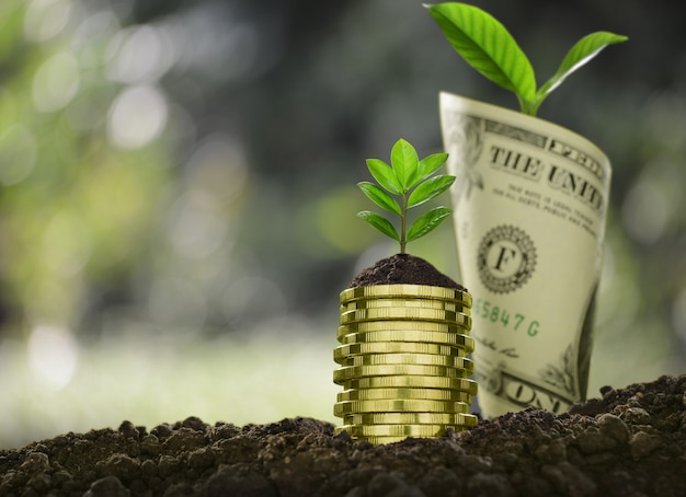 Image of pile of coins and rolled bank note with plant on top showing business