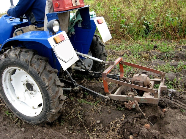 Image of process of harvesting of a potato