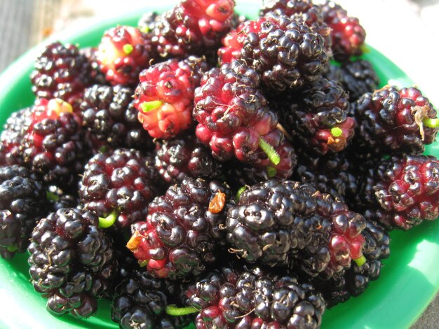 Photo image of ripe dark berries of a mulberry on a plate