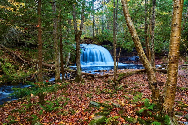 Image of Rock River Falls white waterfall that leads into a forest strewn with fall leaves