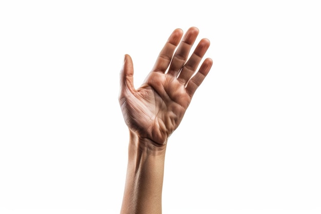 An image showcasing a raised hand