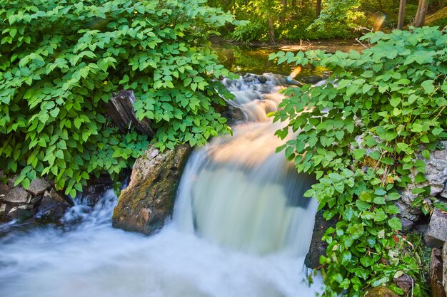 Photo image of small waterfall over rubble with green bushes