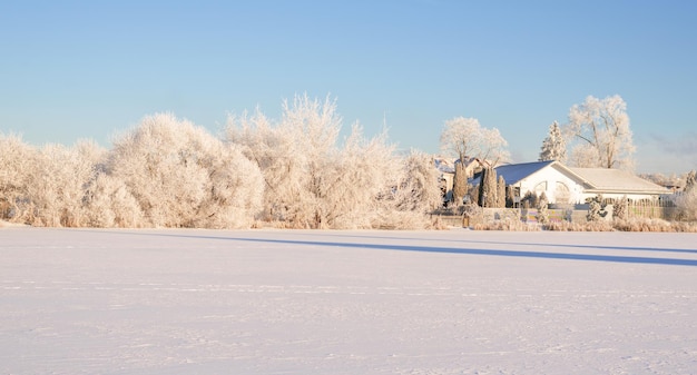 Image of snow-covered houses and trees. new year and christmas
concept. high resolution wallpapers. mixed media