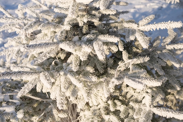 雪に覆われた木の画像。新年とクリスマスのコンセプト。高解像度の壁紙。ミクストメディア