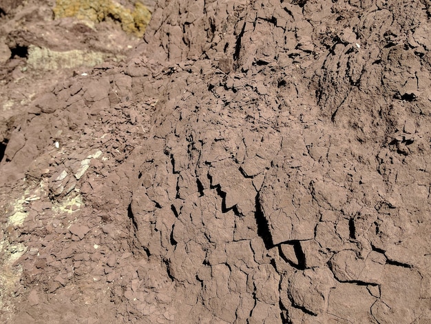 Image of soil background